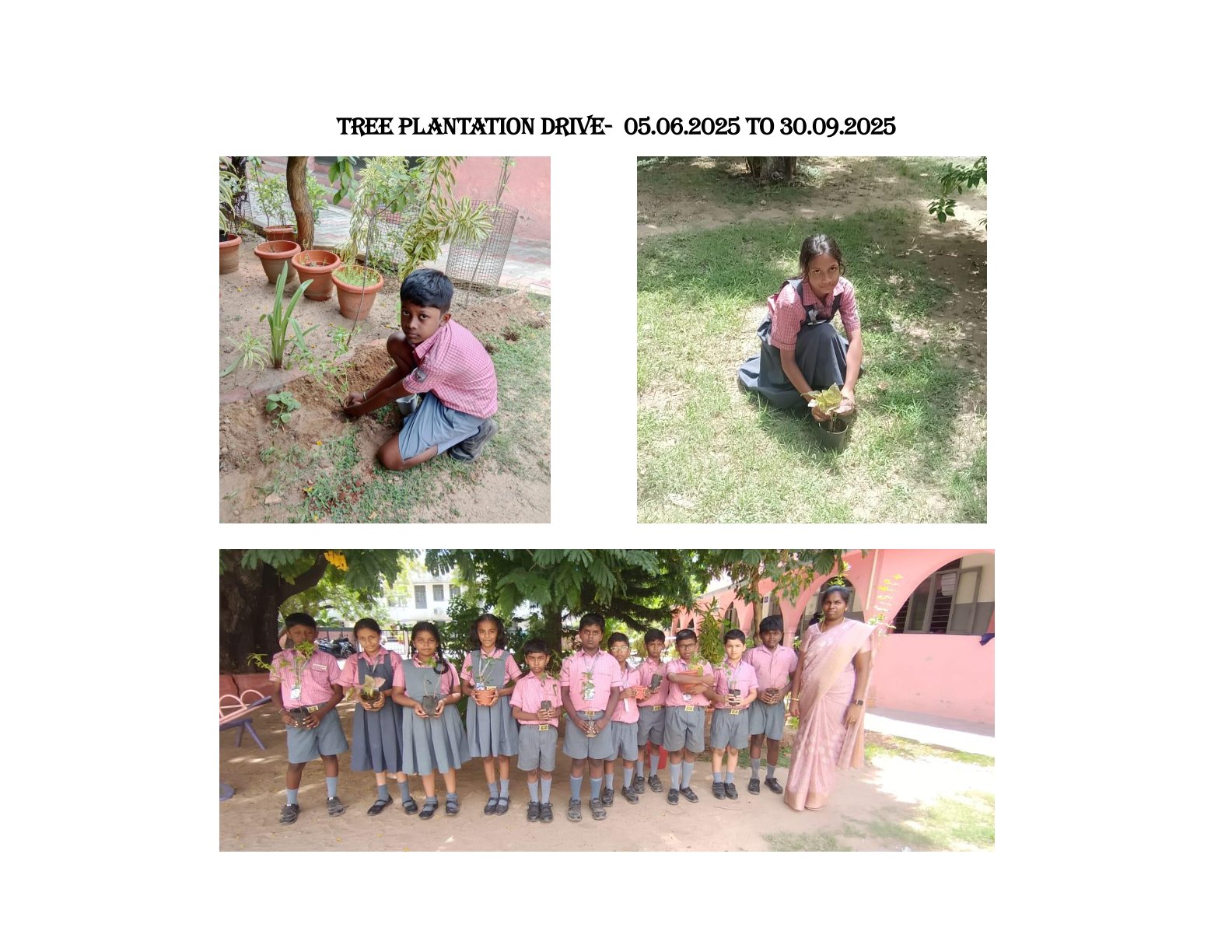 Activities - 2025
